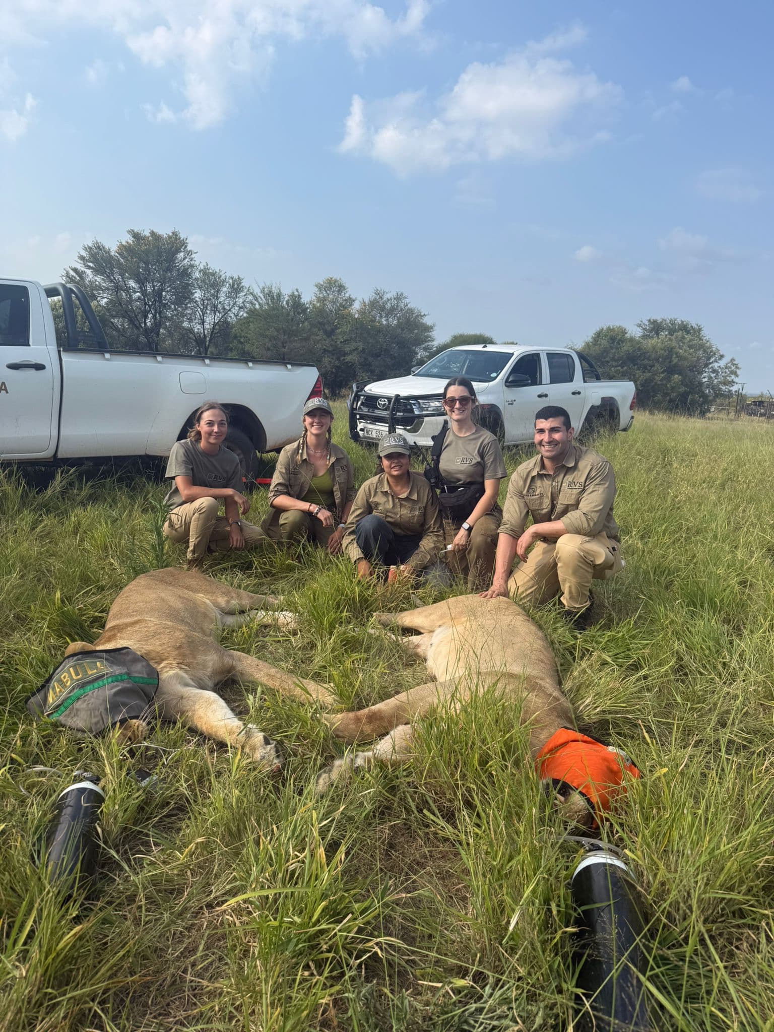 Vets and Wildlife South Africa